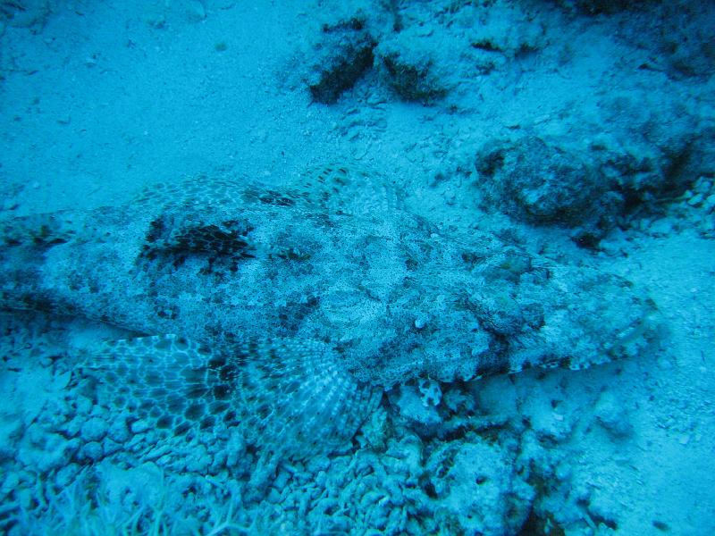 2009-12-04 14-40-35S.JPG